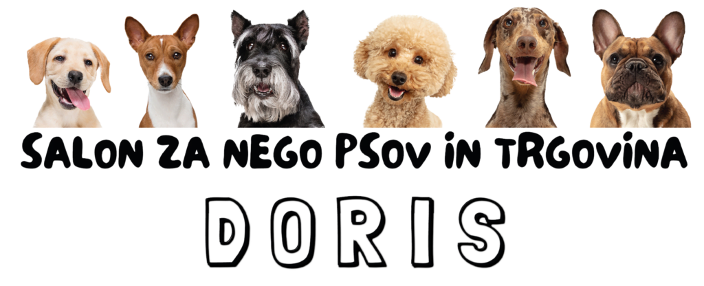 Doris, Najboljši salon za nego psov v Kranju